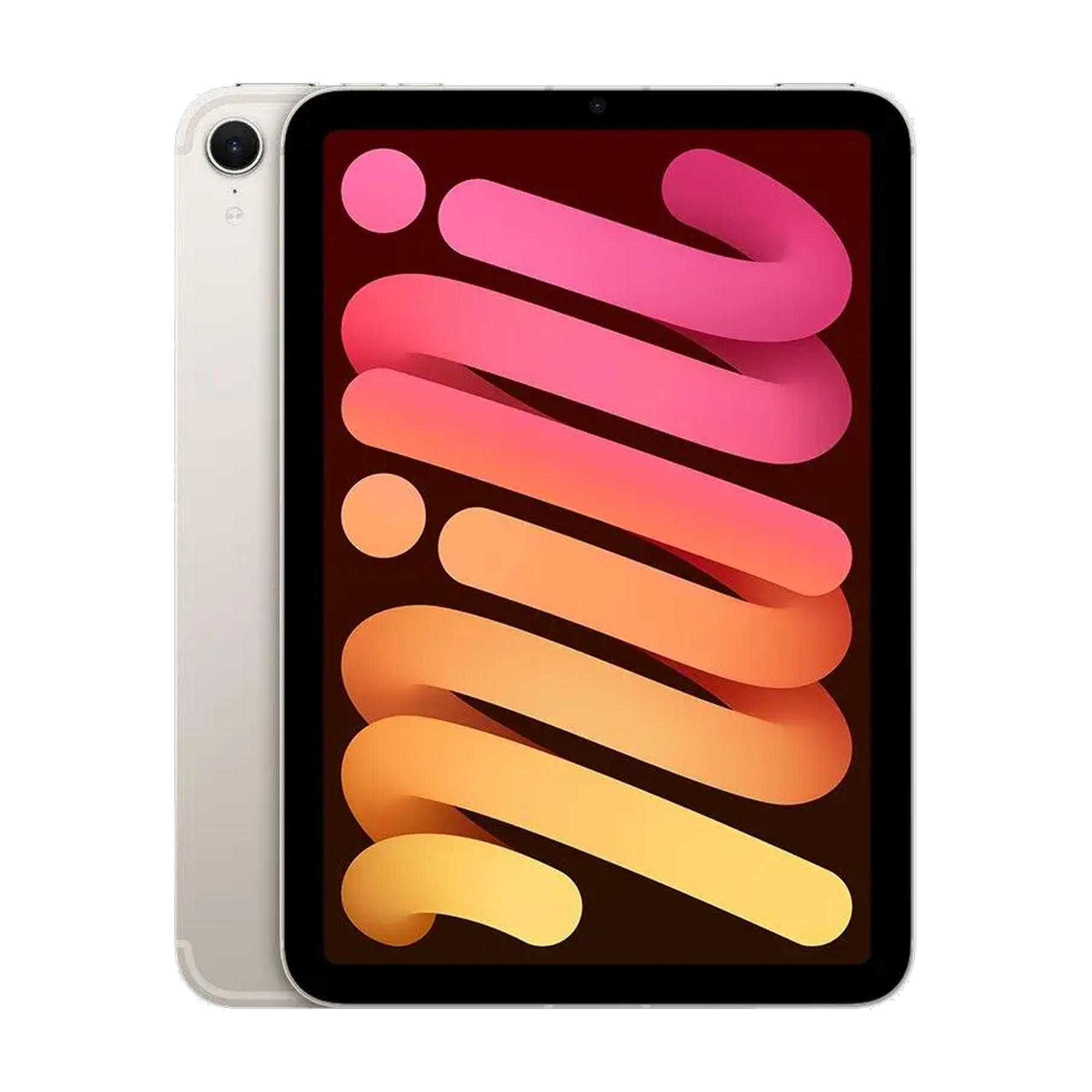 iPad mini
